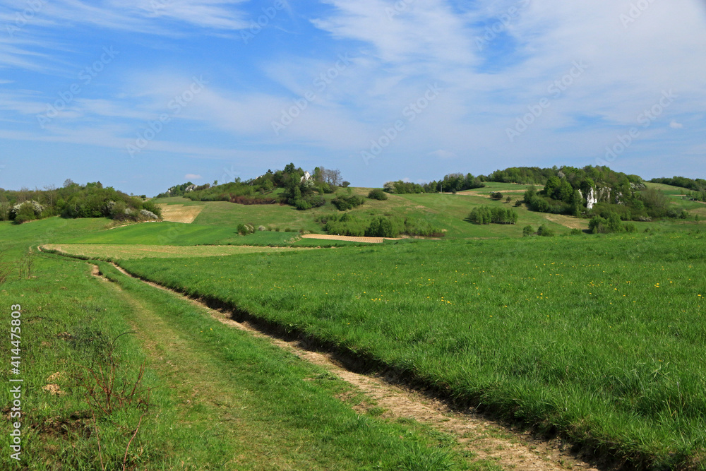 Landscape of Polish Jura near Jerzmanowice village, Poland
