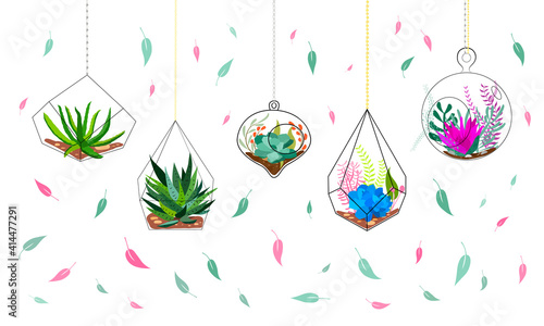 Set of geometric florariums. Geometric terrariums set with plants, succulents and cactus. Scandinavian style home decor. Glass crystal florariums isolated on white background.