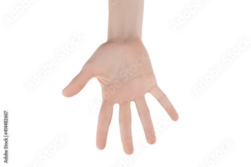 skinny female hands without manicure on a white background