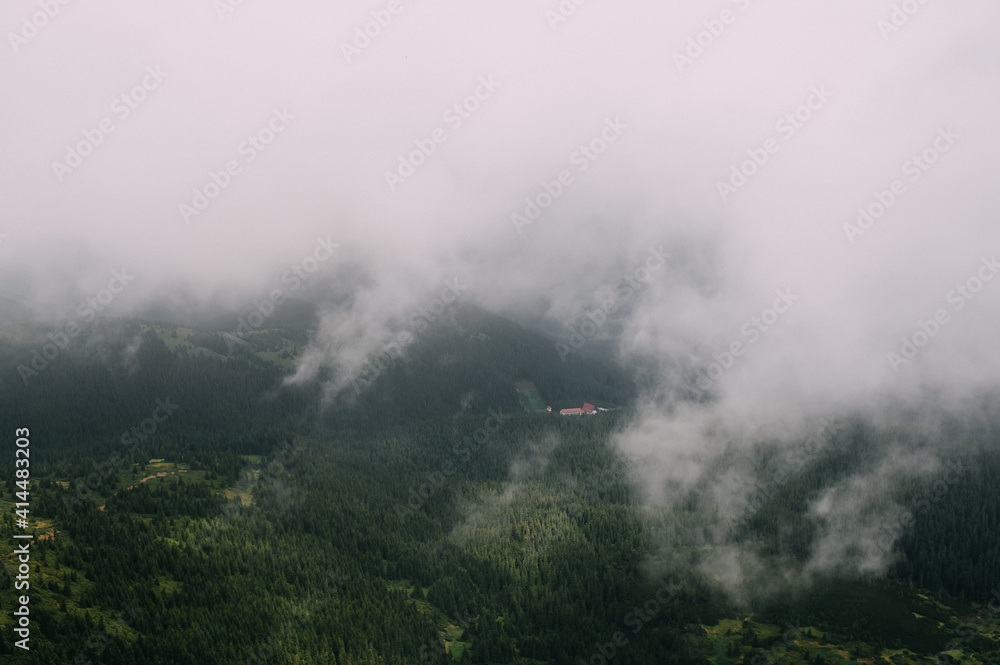 view from the top of mountain hoverla down, blue sky, clouds, thick fog, moss, conifers