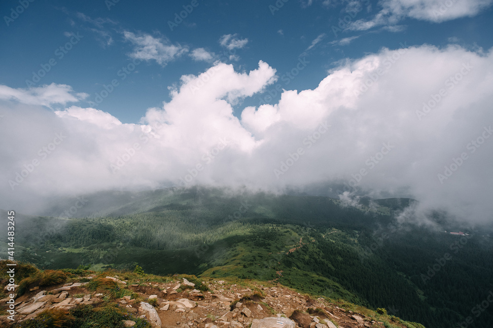 view from the top of mountain hoverla down, blue sky, clouds, thick fog, moss, conifers view from the top of mountain hoverla down, blue sky, clouds, thick fog, moss, conifers