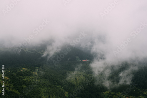 view from the top of mountain hoverla down, blue sky, clouds, thick fog, moss, conifers