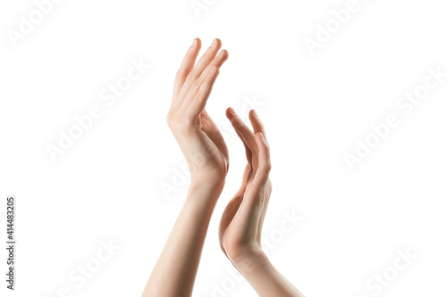 skinny female hands without manicure on a white background © Andrii