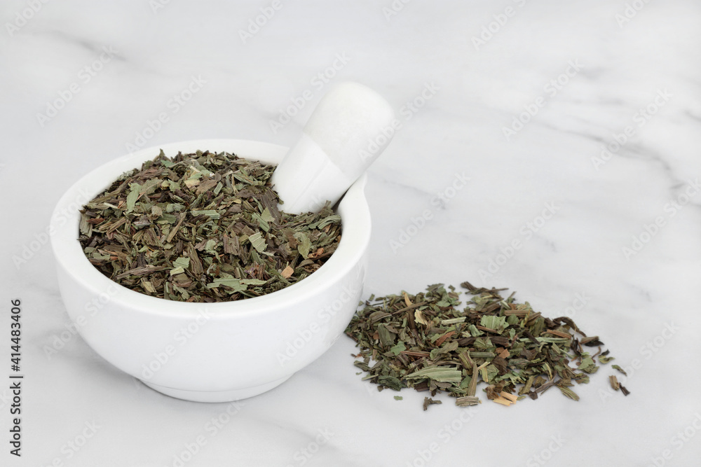 Plantain herb leaves used in herbal medicine to treat coughs, wounds, insect bites & stings