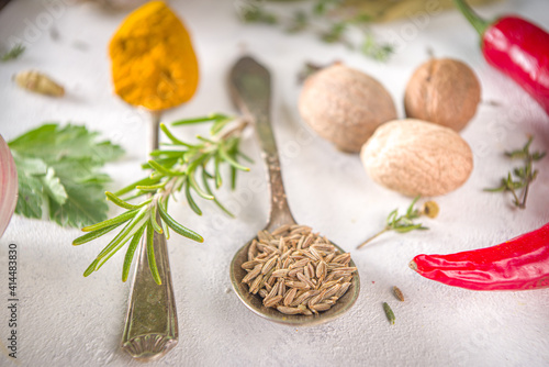 Fresh herbs, dried colorful spices. Cooking background flatlay with variety spices, herbs pepper, vanilla bean, cinnamon, basil, rosemary, chilli red green peppers, mint, parsley White table top view