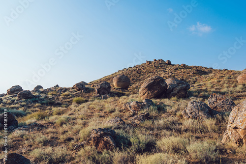 Dry plants and stones in mountainous terrain