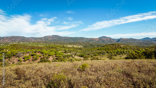 Fotografija Mediterranean scrubland on a sunny day