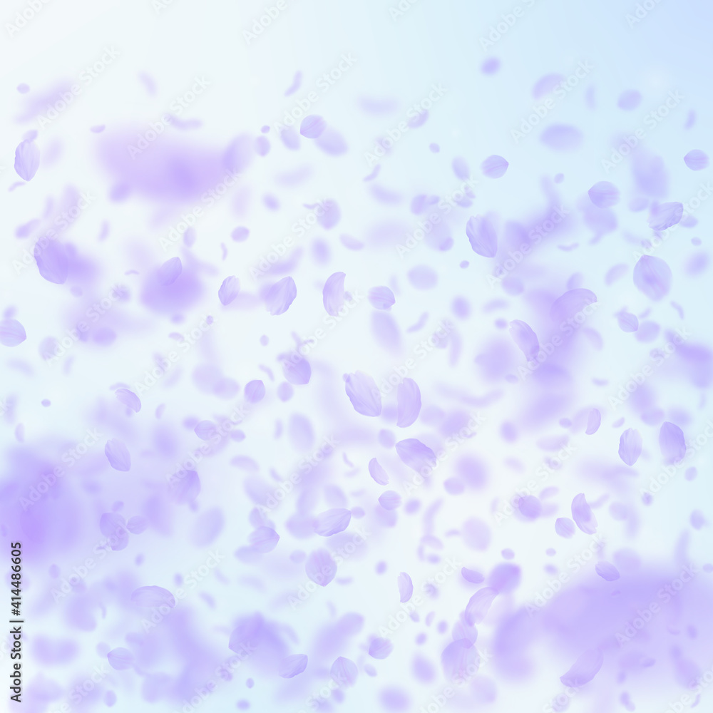 Violet flower petals falling down. Vibrant romanti Violet flower petals falling down. Vibrant romanti