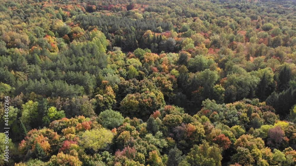 Aerial view of autumn forest. Yellow, green and red trees Aerial view of autumn forest. Yellow, green and red trees