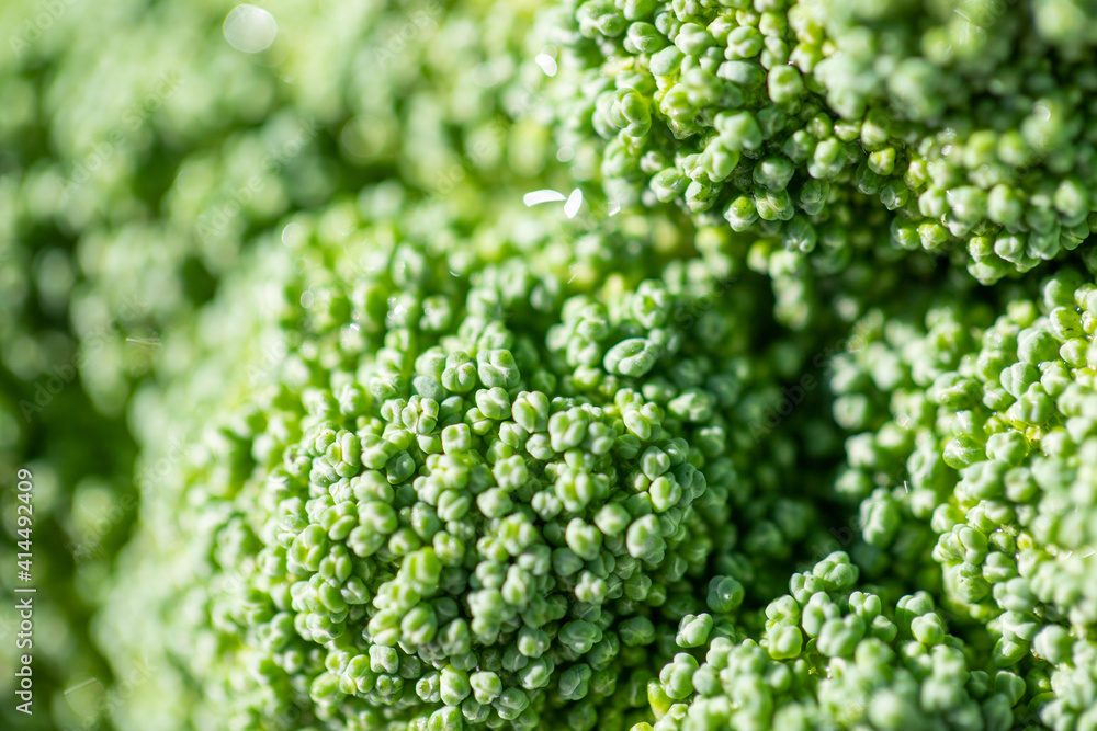 close up of green broccoli background close up of green broccoli background