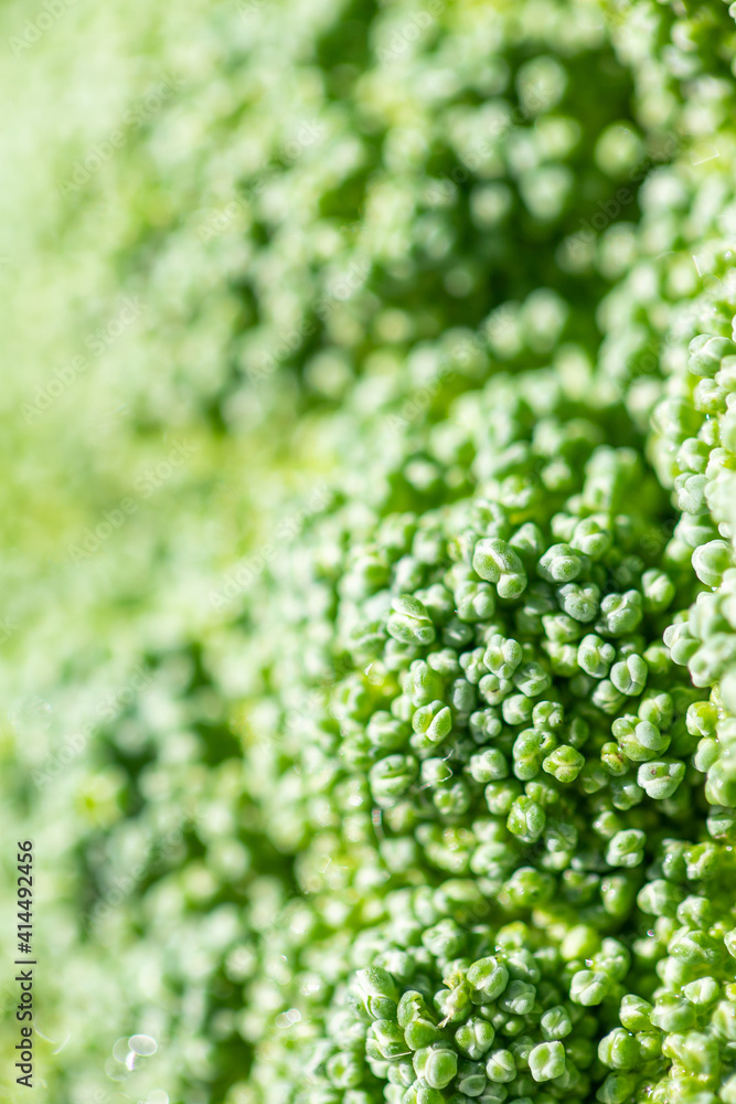 close up of green broccoli background close up of green broccoli background
