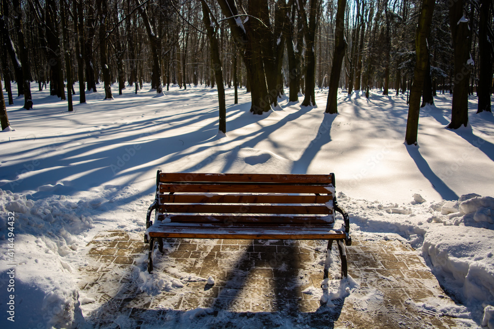 Cozy bench in winter sunny park