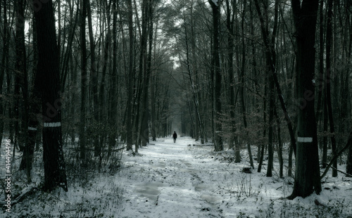 Ein Spaziergänger in einem Winterlichen Wald