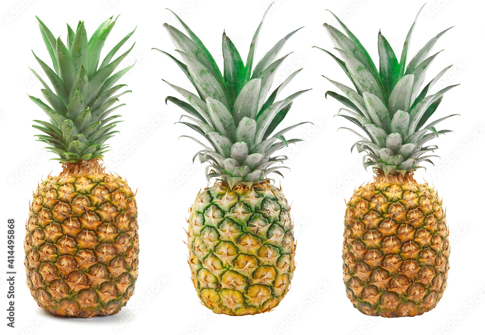 Set of Pineapple isolated on the white background. Set of Pineapple isolated on the white background.