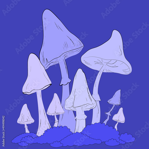 Moss and violet magic mushrooms