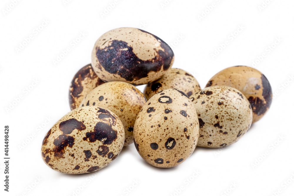 Animal protein quail eggs on a white background Animal protein quail eggs on a white background