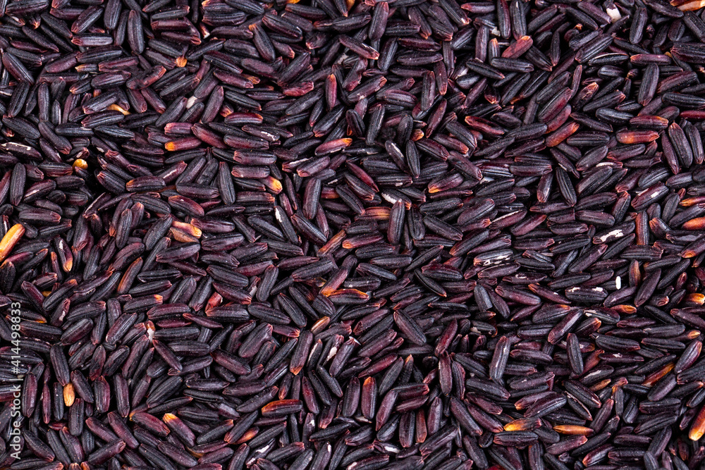 Black glutinous rice (black sticky rice,black rice) Black glutinous rice (black sticky rice,black rice)