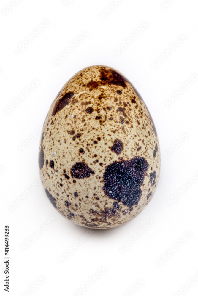 Animal protein quail eggs on a white background Animal protein quail eggs on a white background