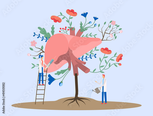 Vector illustration an abstract human liver, cute tiny humans help it be healthy and vibrant
