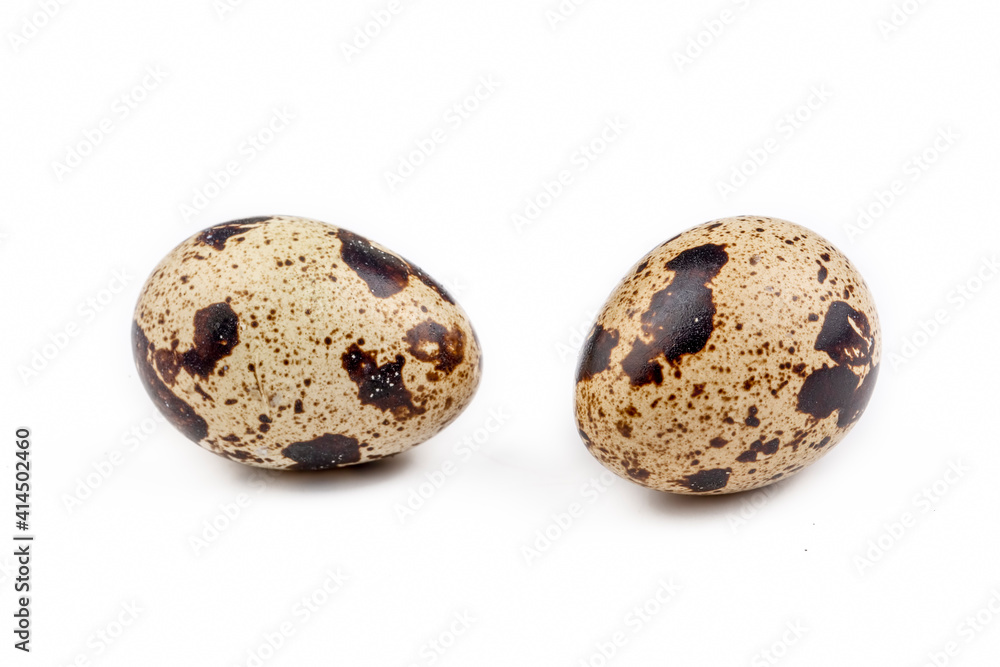Animal protein quail eggs on a white background Animal protein quail eggs on a white background