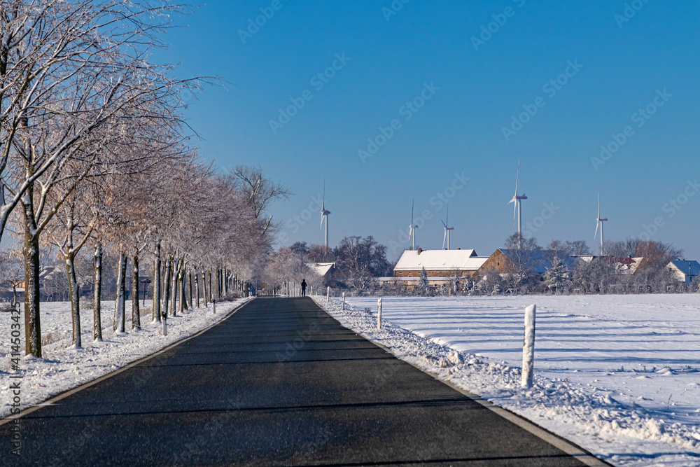 Fototapeta premium Windrad