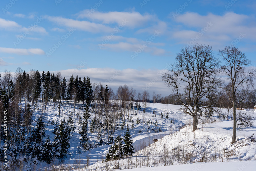 White snowy Latvian landscape in winter where you can see a large field White snowy Latvian landscape in winter where you can see a large field