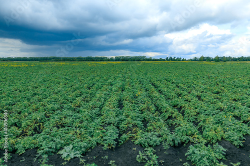 a potato field above it, a cloudy sky and gray rain clouds