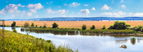 Summer landscape, panorama, with river, wheat field and clear blue sky with white clouds