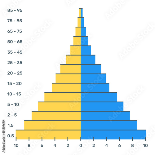 
A flat trendy icon of population pyramid diagram
