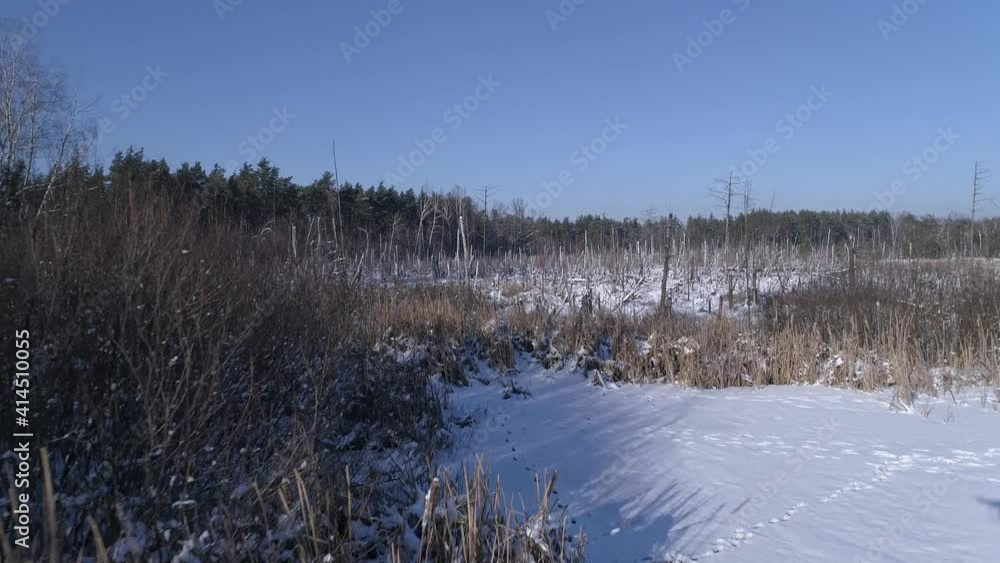 Forest covered with snow, destroyed by nature.
Forest covered with snow, destroyed by nature.