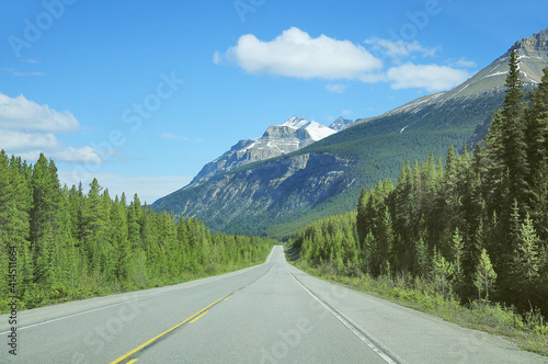 Road from Banff to Columbia Icefield. Banff National Park. © serjiob74