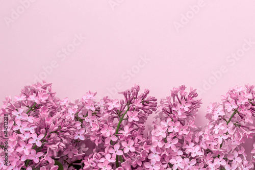 spring background mock up pink color, lilac flowers, place for text 
