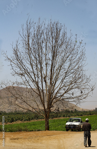 car in the countryside 