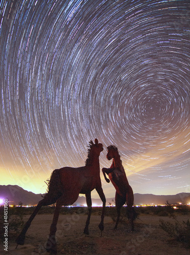 Star Trails over horse sculptures photo