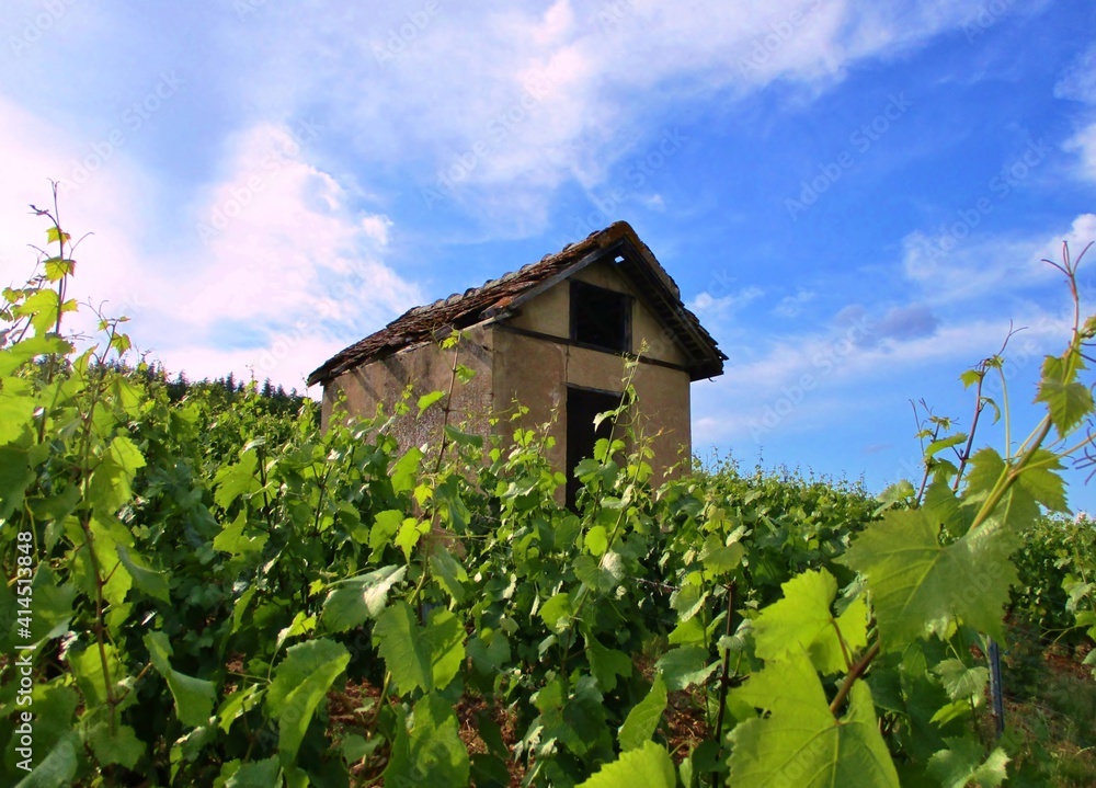 Vieille cabane sur un coteau de vigne, fond de ciel bleu nuageux. Bourgogne, France. Vieille cabane sur un coteau de vigne, fond de ciel bleu nuageux. Bourgogne, France.