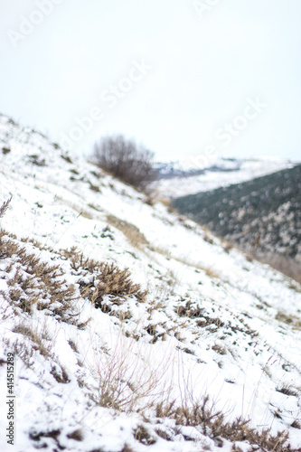 Wallpaper Mural large snow-capped mountains of Crimea. Black Sea. Torontodigital.ca