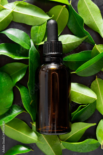 Essence serum. Dark pipette botle  cosmetics skin care. Green fresh leaves