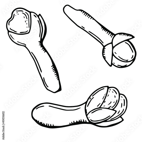 Linear set of cloves spices. White background, isolate. Vector illustration.	
