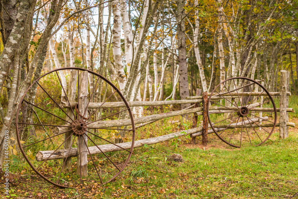 Canada, Prince Edward Island, Orwell. Wagon wheel and birch trees. Canada, Prince Edward Island, Orwell. Wagon wheel and birch trees.