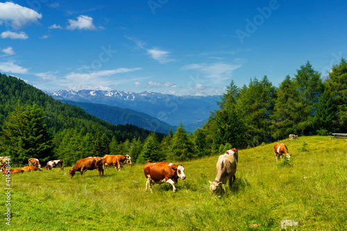 Mountain landscape at summer along the road to Mortirolo pass © Claudio Colombo