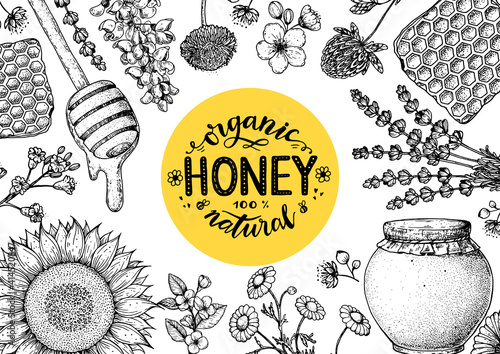 Honey hand drawn vector illustration. Healthy food illustration. Lettering Organic Honey 100% natural. Honeycomb, flowers, jar of honey sketch.