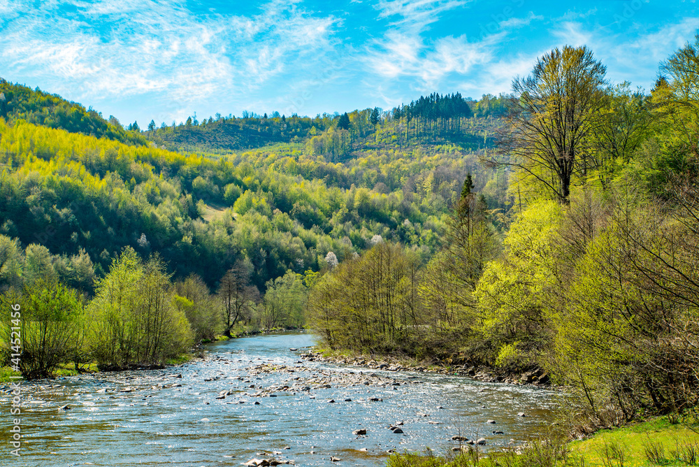 mountain river flows near the forest and mountains on a bright day. Spring season. mountain river flows near the forest and mountains on a bright day. Spring season.