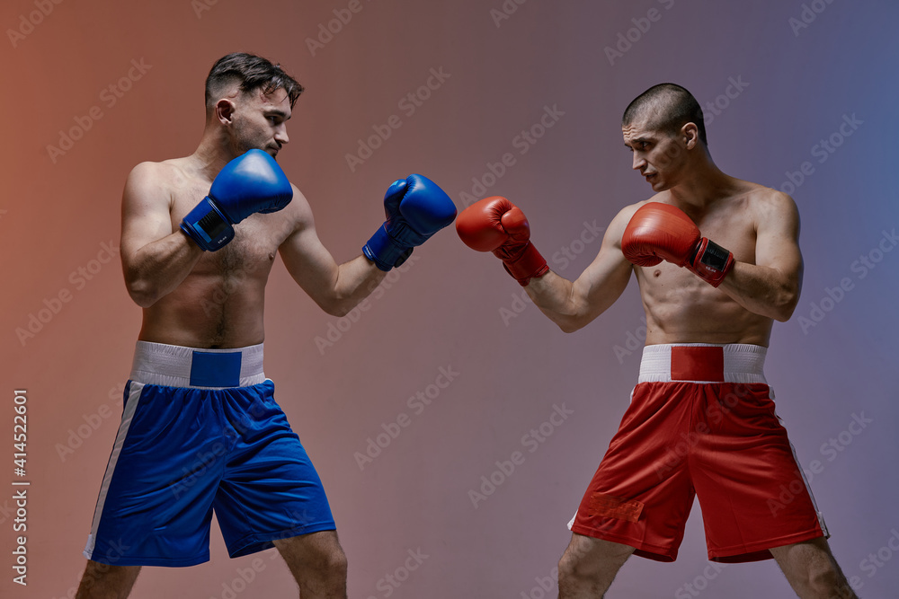 Athletic guys boxers with bare fit torsos fighting in boxing gloves in blue red studio light, mixed fight concept