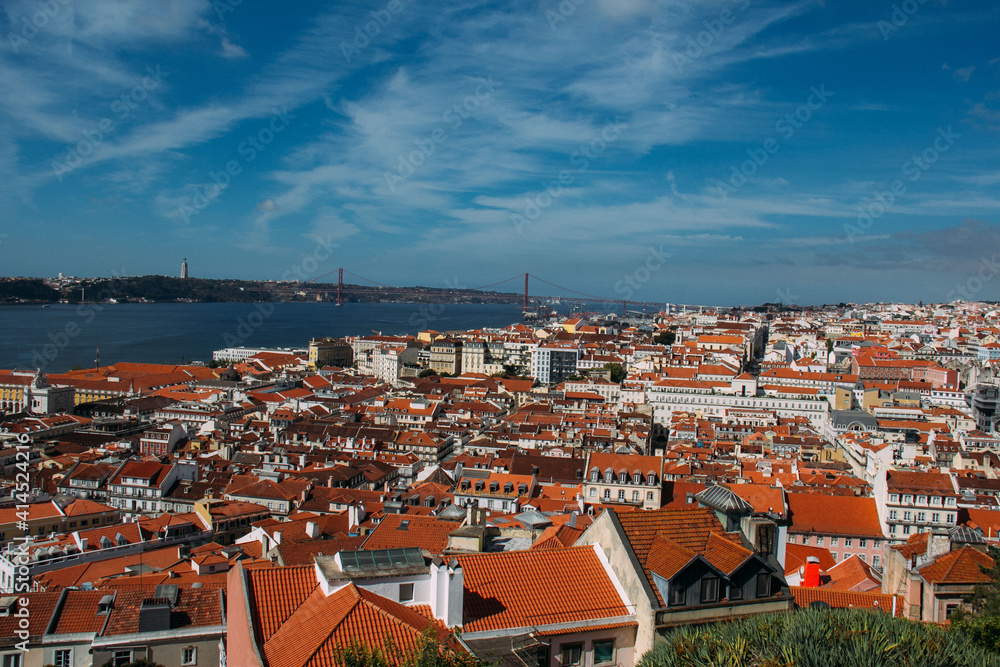 Obraz premium panorama
