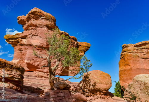 Eroded red-sandstone formations. Garden of the Gods, Colorado Springs, Colorado photo