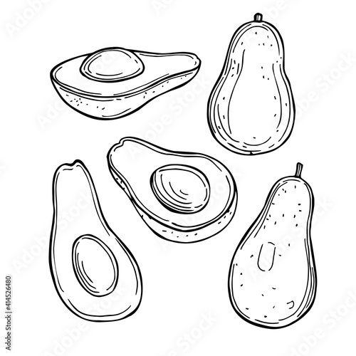 Tropical fruits. Vector  illustration