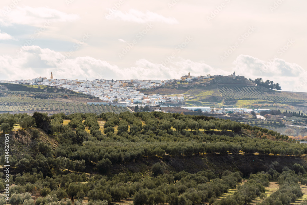 Stock photo of rural village with white houses in the middle of olive trees plantation. Aguilar de la Frontera, Cordoba, Spain.