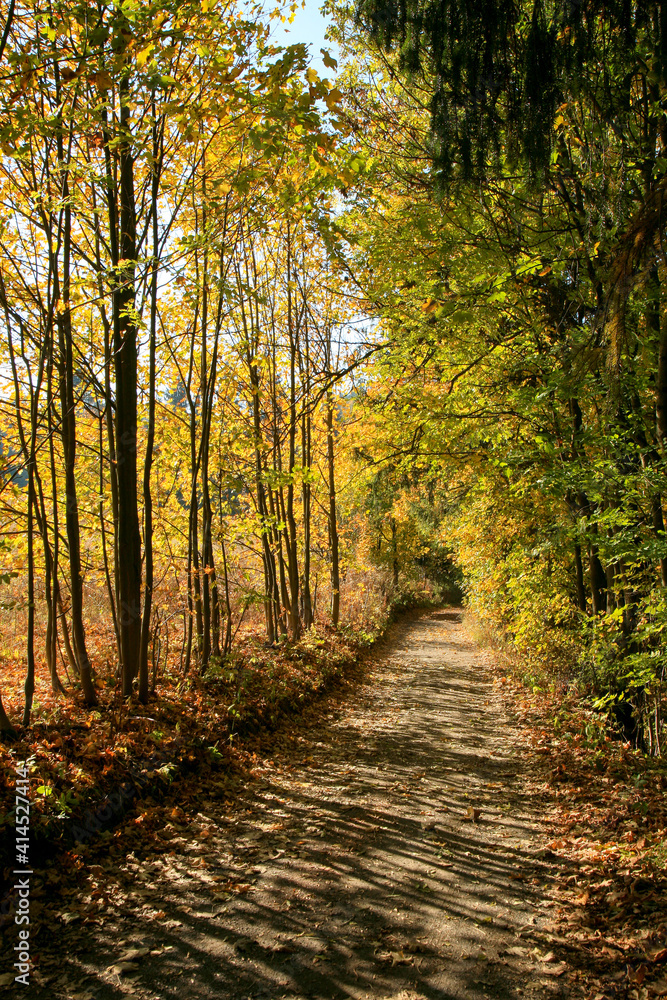 Obraz premium Autumn path in mountains village. Pasterka in Stolowe Mountains, Poland.