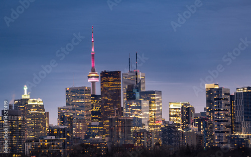 Toronto city view from Riverdale Avenue. Ontario, Canada  