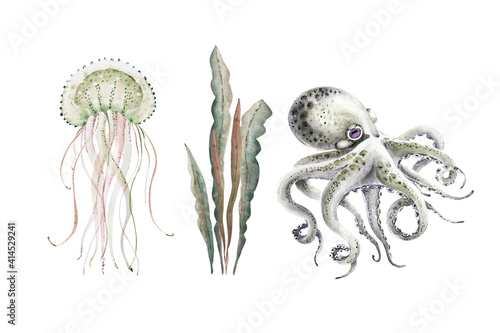 Photography set of watercolor illustrations in marine style on a white background, with mari